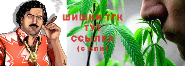 гашик Алзамай