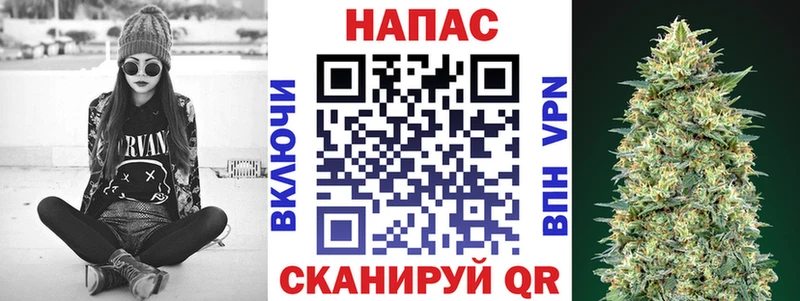 магазин    Новоульяновск  Бошки марихуана сатива 